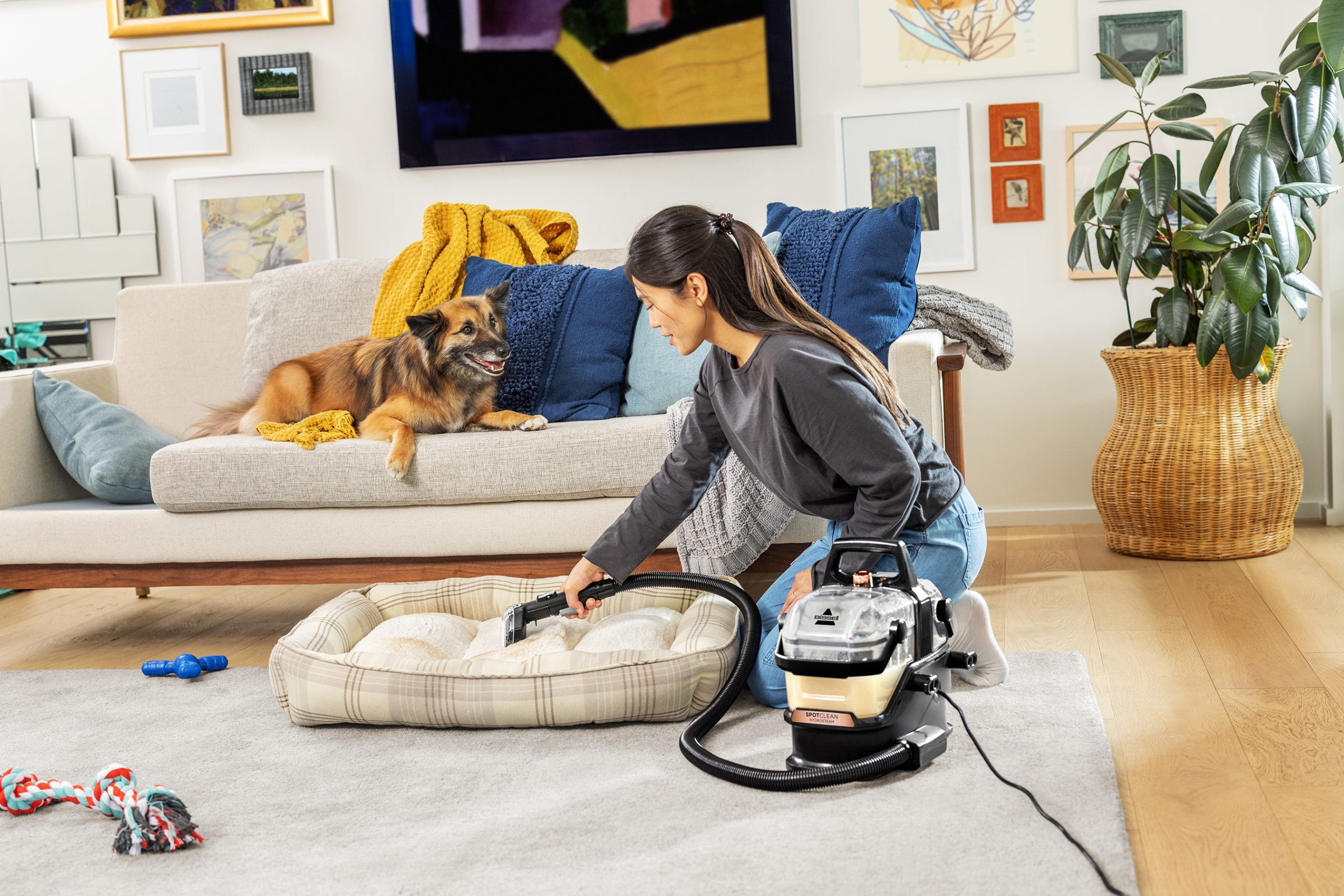 Bissell Hydrosteam Spot Cleaner
