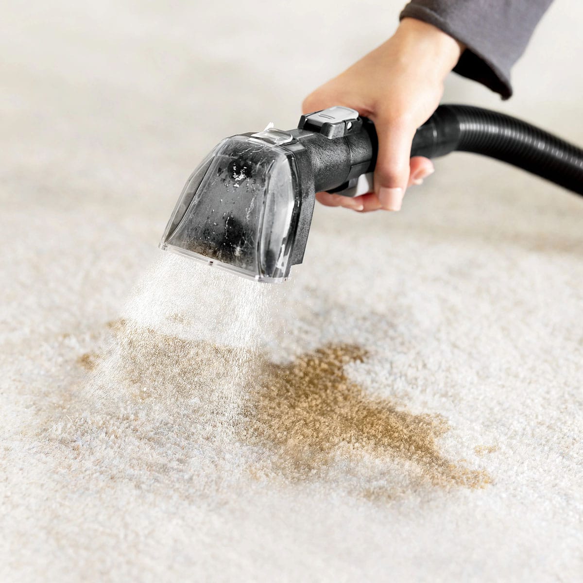 Bissell Hydrosteam Spot Cleaner